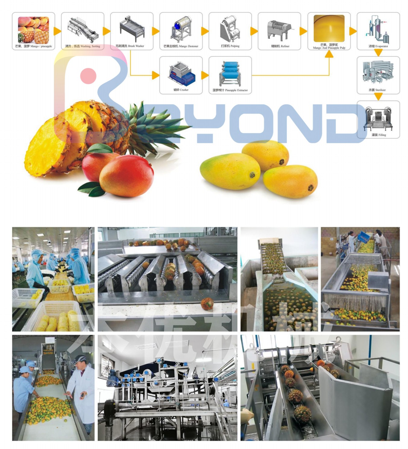 1627031734313520.jpg 3,2019果蔬综合样本_07_副本.jpg